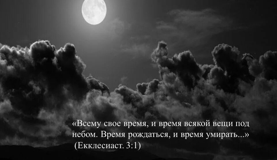 Всему своё время. Всему свое свое время. Картинка всему сове время. Всему своё время цитаты. Время слова рождалось