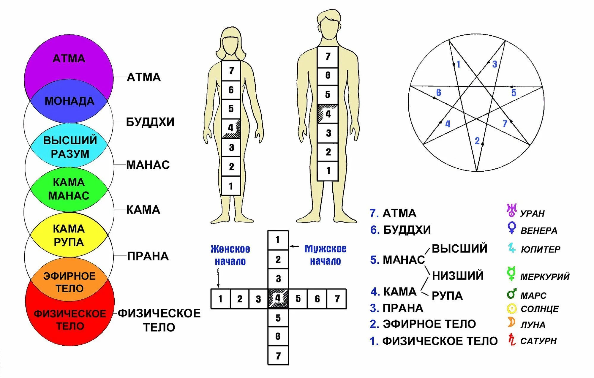 Эфирный это. Энергетические центры человека тонкие тела и физическое тело. Схема 7 тонких тел человека. Астральное тело человека астральное тело человека. Структура тонких тел человека.