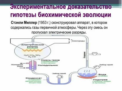 Этапы возникновения жизни по теории опарина