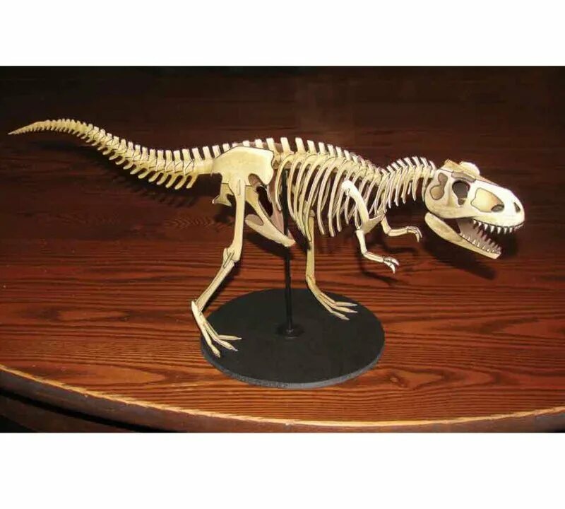 Скелет из пластилина. Модель скелета Тираннозавр рекс. Скелет динозавра Тирекс 3д модель для принтера. Скелет тираннозавра DEAGOSTINI. Скелет динозавра.