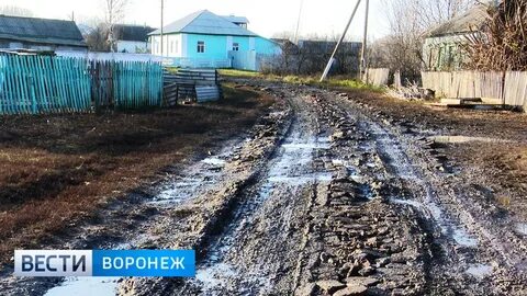 Цунами лесная ул 100 село воронежское отзывы