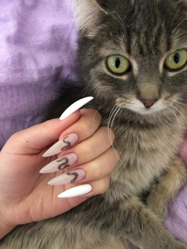 Наращивание кошачий. Кошачьи ногти. Кот на ногтях. Кошачьи ногти маникюр. Ногти кошачьи коготки.