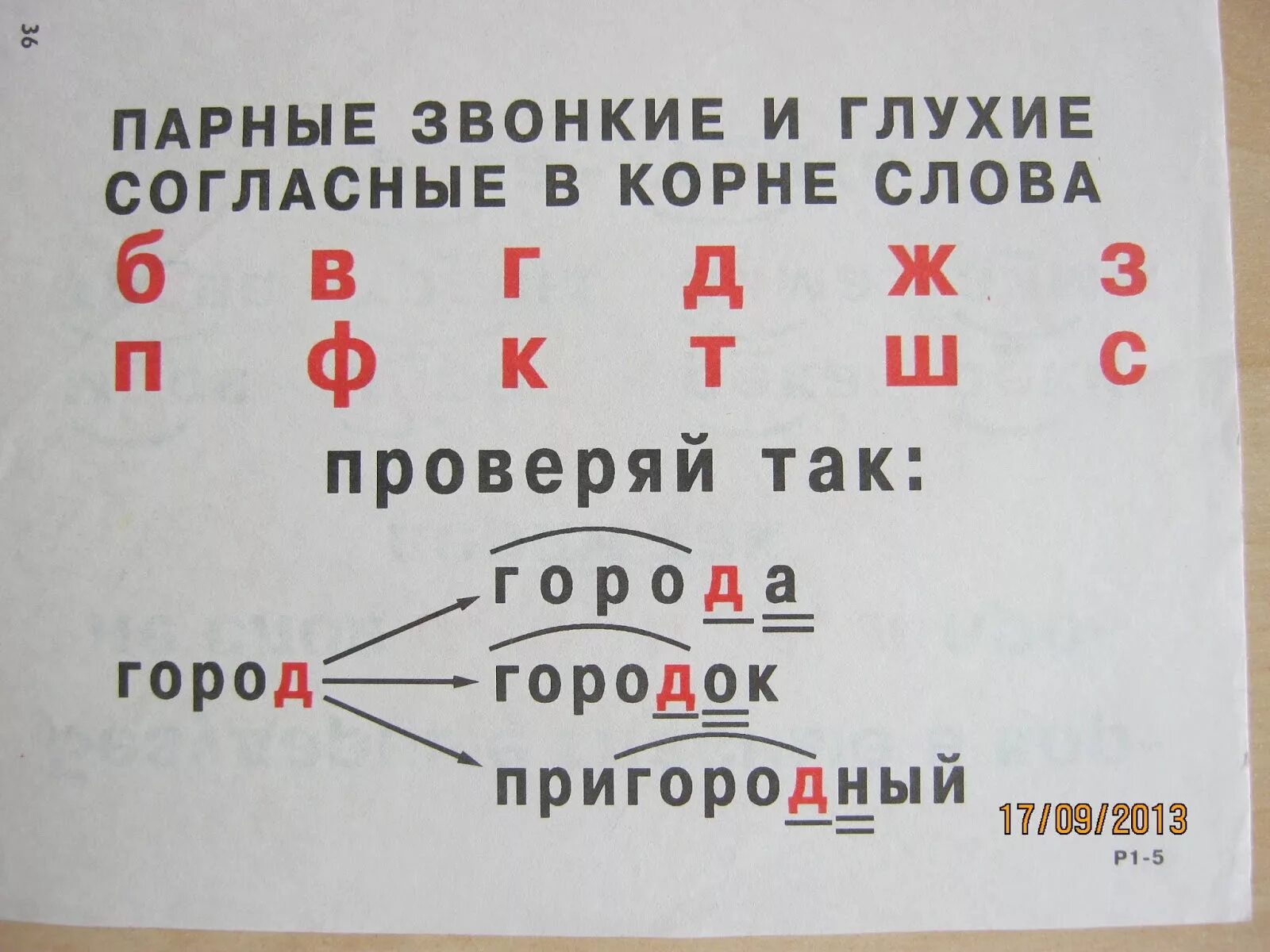 Орфограмма проверяемого согласного в корне. Парные звонкие и глухие согласные в корне. Парные звонкие и глухие согласные в корне слова. Парные звонкие и глухие согласные в корне слова правило. Парная глухая звонкая согласная в корне слова.