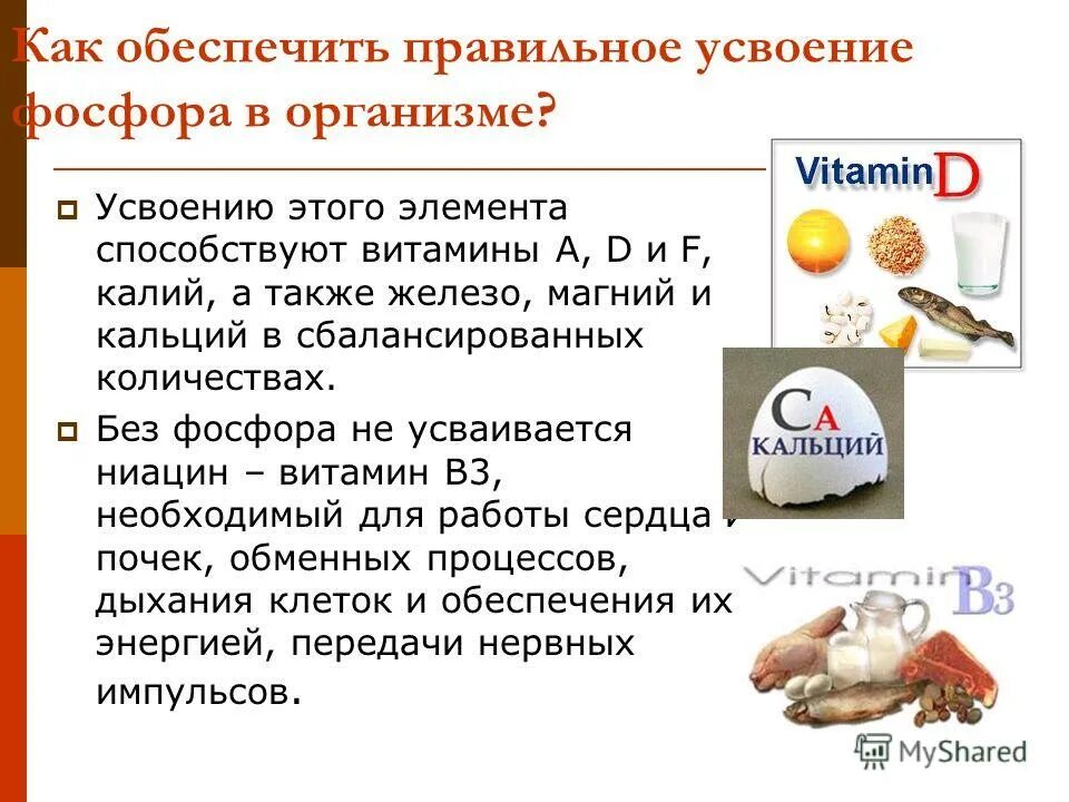 Нахождение в природе фосфора. Продукты питания содержащие фтор. Вещества содержащие азот. Удобрения минеральные азотные фосфорные. Вещества содержащие фосфор способствуют.