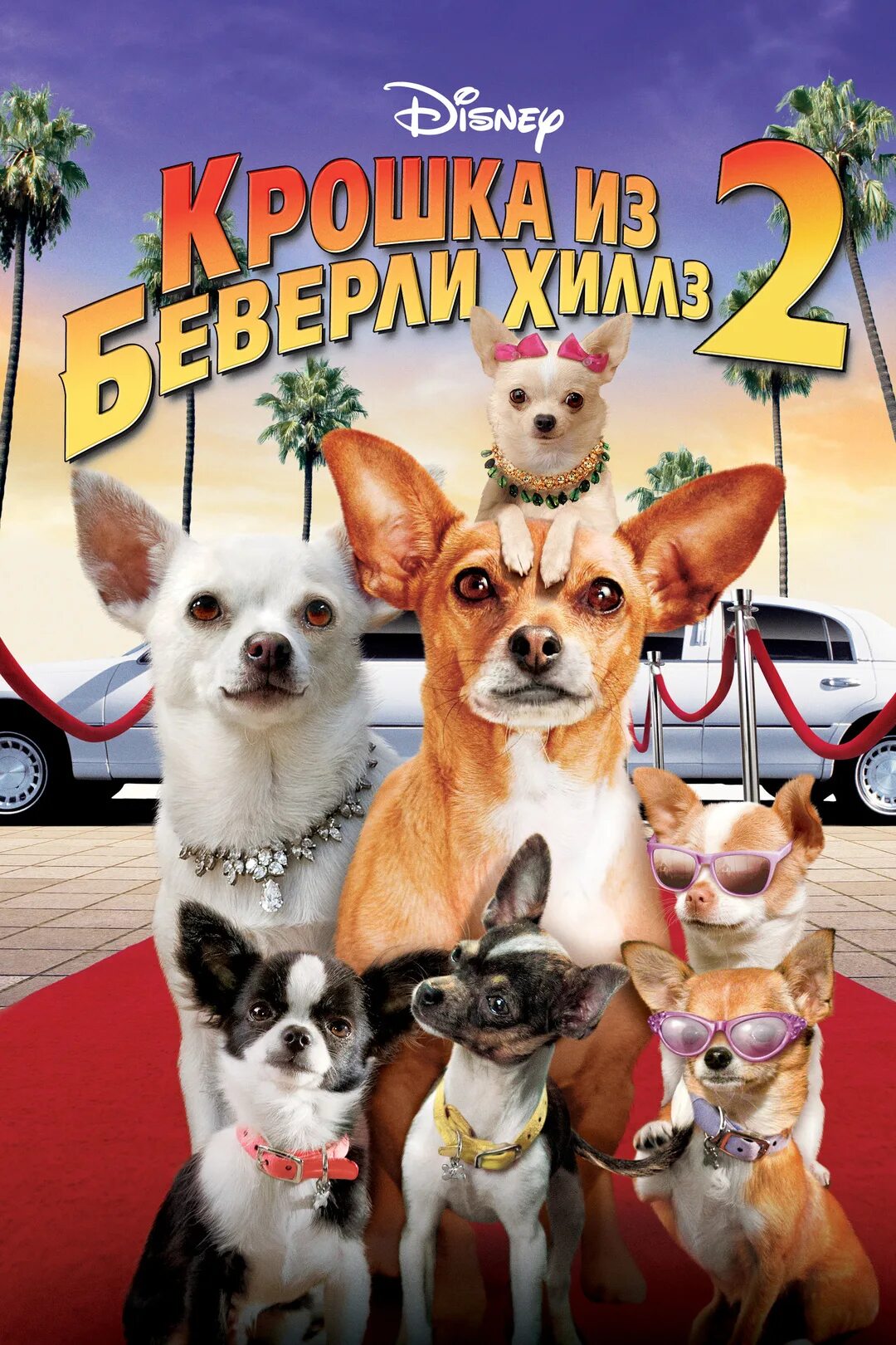 Крошка из Беверли Хиллз Папи. Крошка из Беверли-Хиллз DVD.