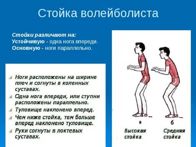 Отличает высокая. Стойки волейболиста. Устойчивая стойка волейболиста. Высокая средняя и низкая стойка в волейболе. Основная стойка в волейболе.