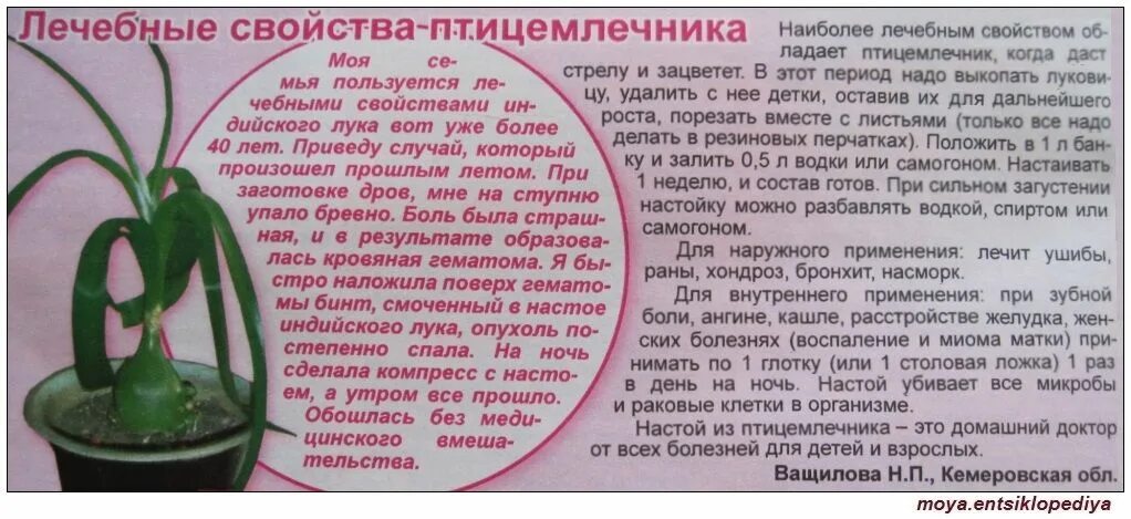 Свойству его можно использовать