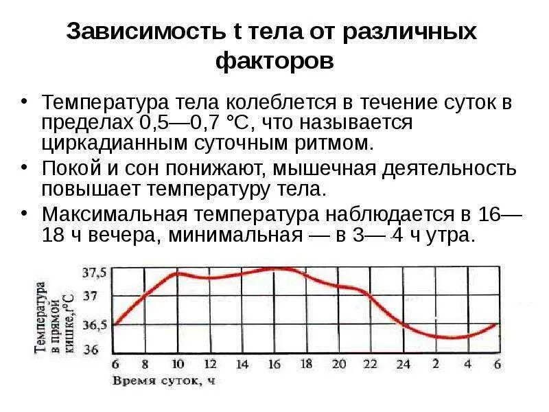 Температура может быть утром. График нормальной температуры тела. суточное колебание температуры тела человека. график изменения температуры тела по часам. температура тела в течение суток.