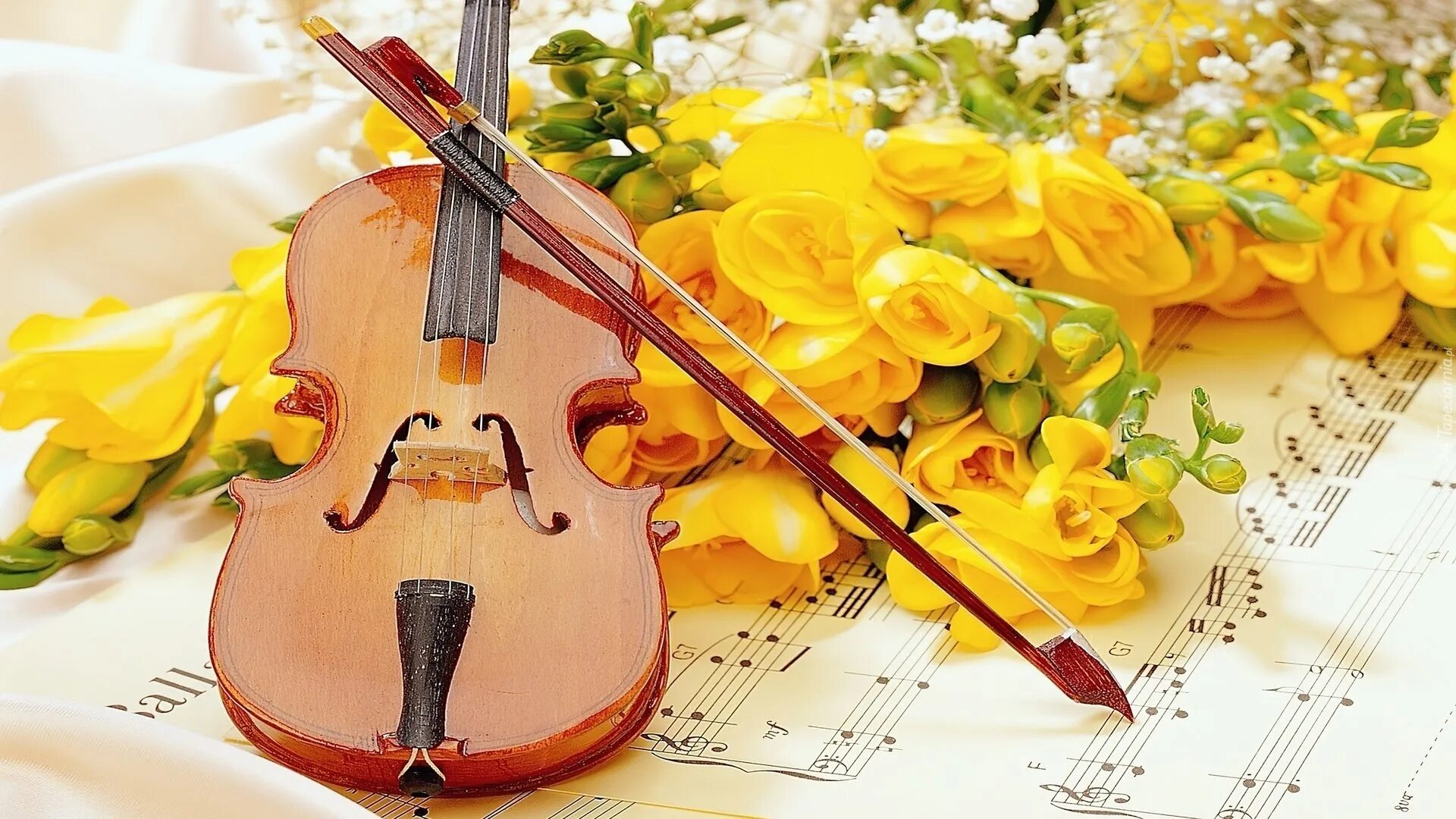 Скрипка счастья. Скрипка. Открытка музыканту. Скрипка плачет. Плачущая скрипка.