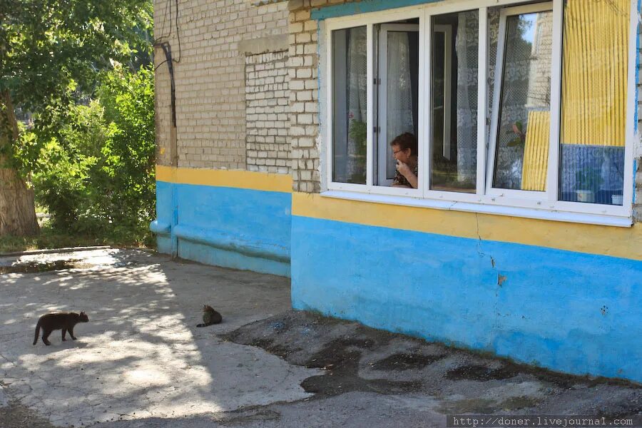 Лестница для кошек на улицу. Пристроенный балкон на первом этаже. Я живу на 1 этаже. Лесенка для кота на балкон. Ужасные балконы.