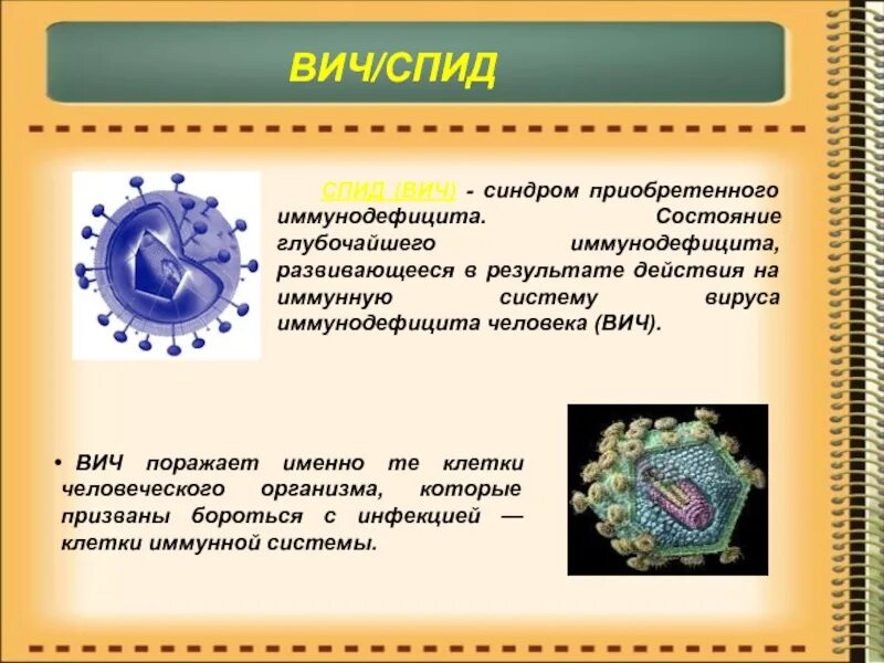 Гепатит иммунодефицита. Спид поражает клетки. вирус иммунодефицита человека поражает. вирус вич инфекции поражает клетки.