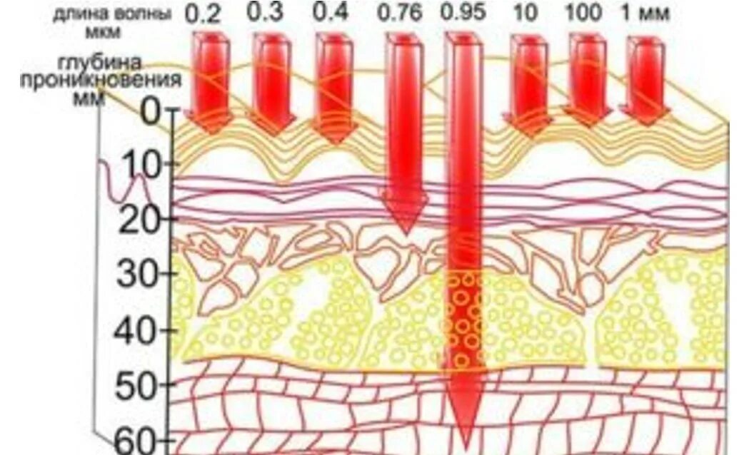 Проникнуть в глубь. Инфракрасное излучение глубина проникновения в ткани. Глубина проникновения ИК излучения. Глубина проникновения инфракрасных лучей. Глубина проникновения лазерного излучения в ткани.