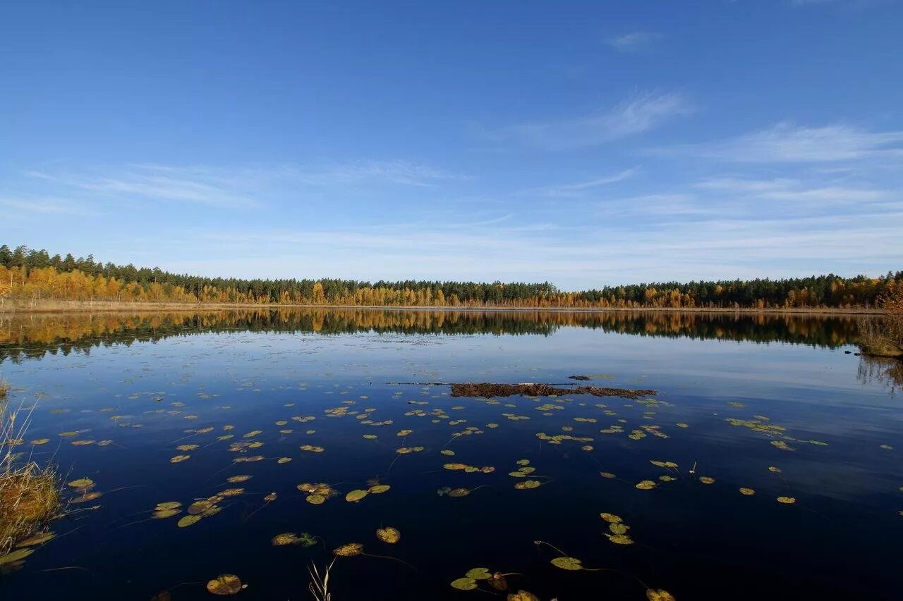 озерах светлое. денежкин камень и озеро светлое. озеро светлое свердловская область. сярьги озеро светлое. озеро светлое североуральск.