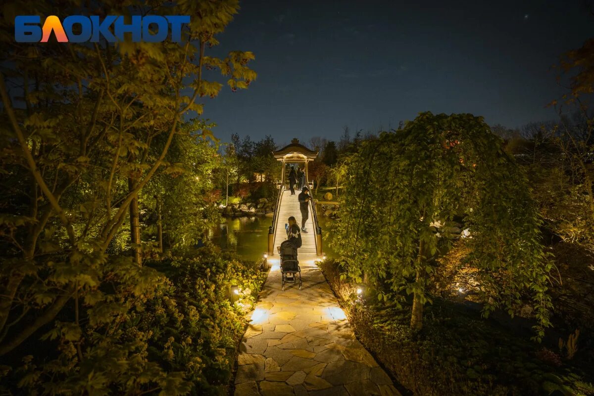 Японский сад в парке галицкого кафе. Ночной сад. Ночной парк. Ресторан в парке. Парк влюблённых Ереван.