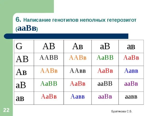 Аавв полное доминирование. Задачи по биологии ААВВ. ААВВ генотип. Решетка Пеннета ААВВ ААВВ. ААВВ X ААВВ.