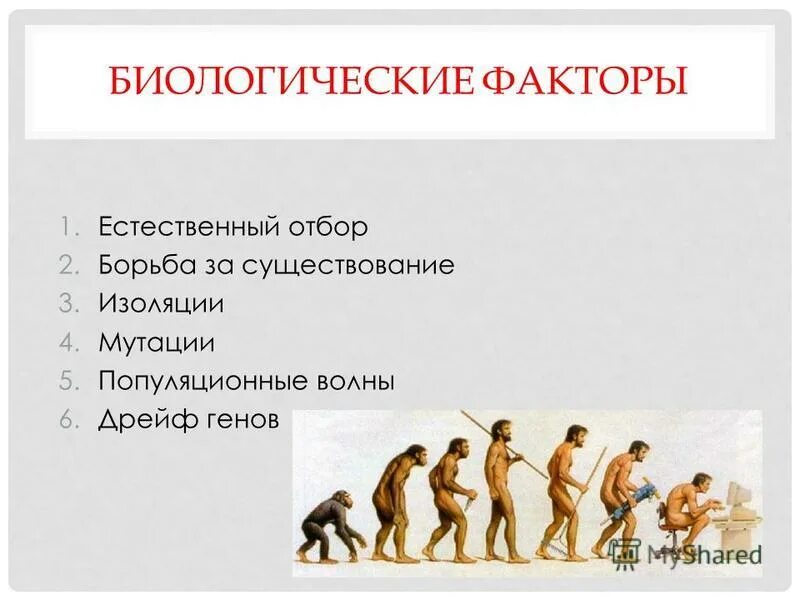 где возник человек современного типа. биологические факторы эволюции человека. социальные факторы эволюции человека. биологические факторы эволюции. 1 биологические факторы эволюции человека.