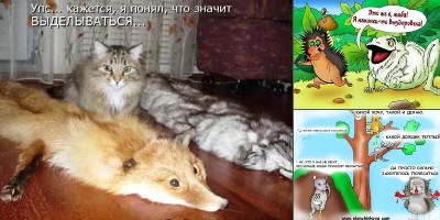 анекдоты про животных