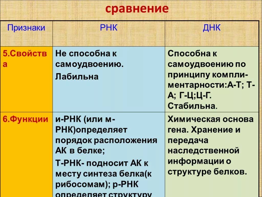 Функциональная рнк. Строение и функции ИРНК. Строение и функции ДНК И РНК таблица. Функции РНК И ДНК 9 класс. Строение и функции РНК кратко.