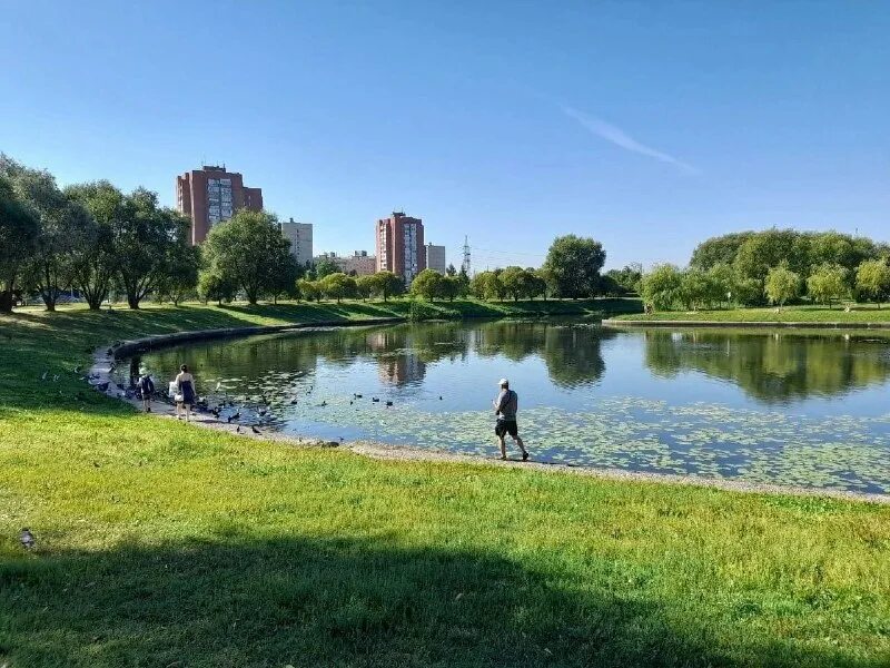 парк малиновка новый год 2024