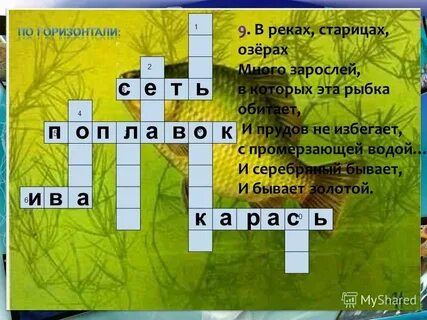 Приток москвы реки сканворд