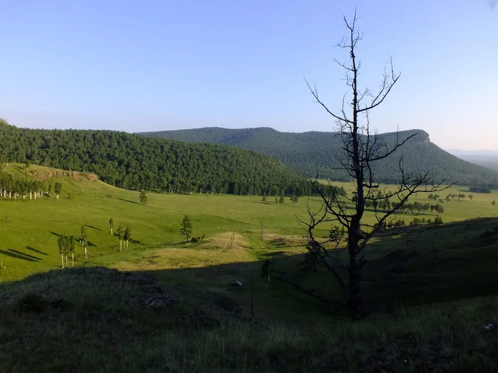 Ширинский район село черное озеро. Озеро черное Хакасия Ширинский район. С черное озеро Ширинский район Республика Хакасия. Хакасия Республика ,черное озеро Ширинский район село черное. Чебаки Ширинский район Хакасия.