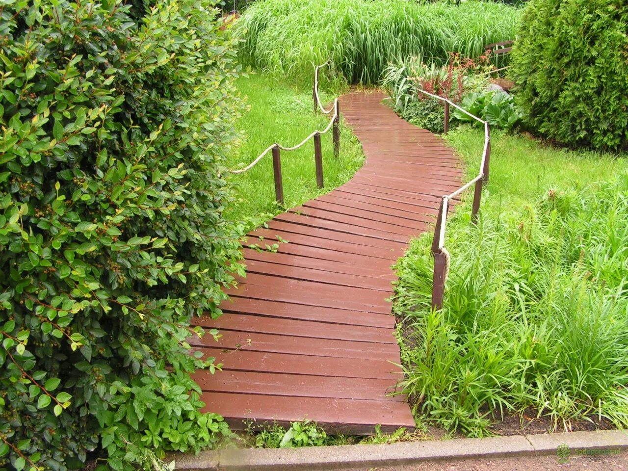 Деревянные дорожки. Деревянный настил на даче. Дорожка в сад. Садовые дорожки. Деревянные дорожки в саду.
