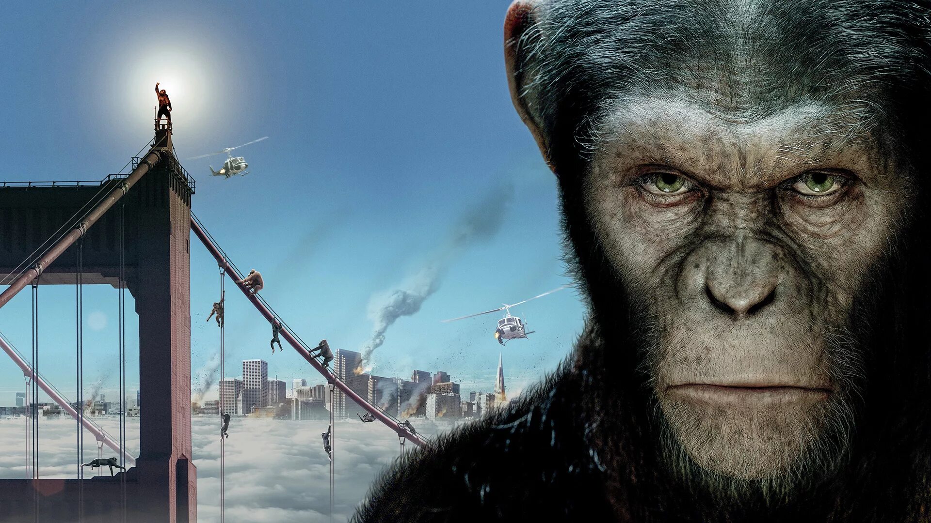 Планета обезьян хорошее качество 2014. Планета обезьян 2011. Восстание планеты обезьян 2011.