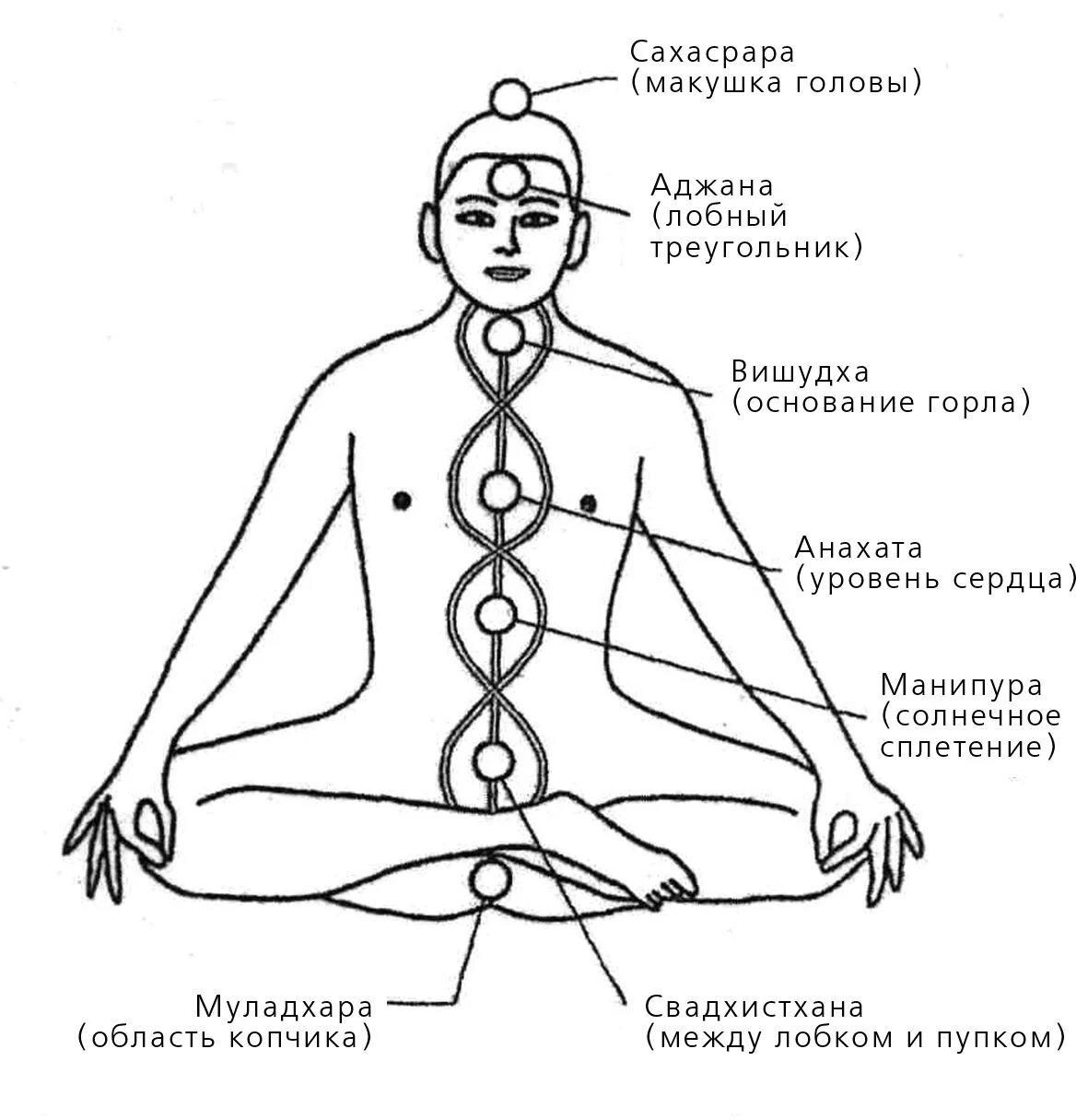 Еда и солнечное сплетение