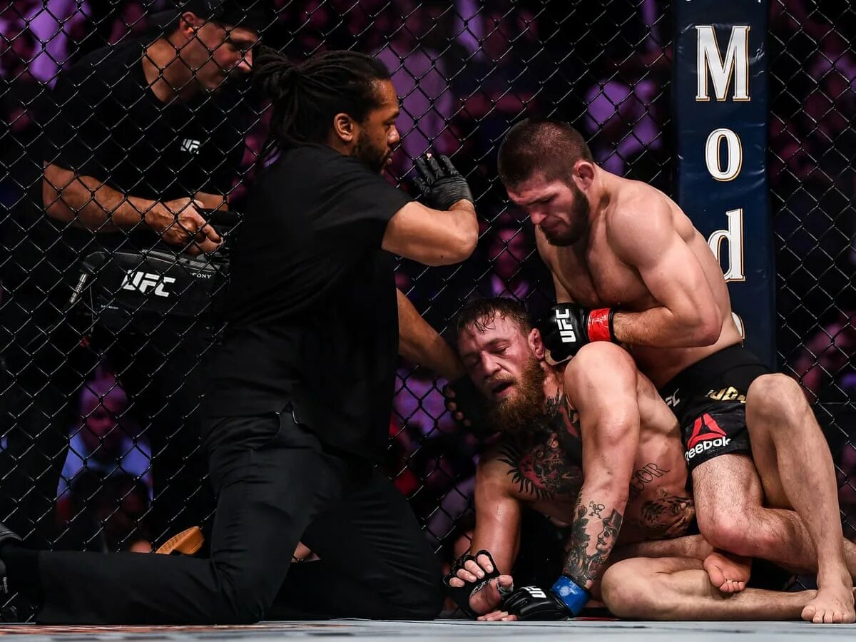 Бой хабиба и гейджи. Хаби́б абдулмана́пович нурмагоме́дов. Хабиб нурмагомедов ufc. Ufc хабибу нурмагомедову. Ufc хабибу нурмагомедову.