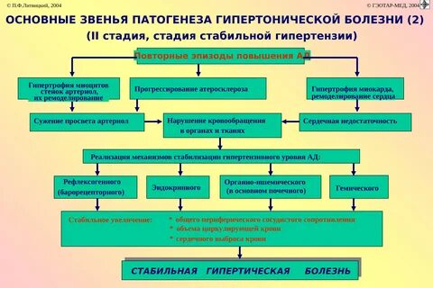 Гипертоническая болезнь механизм развития