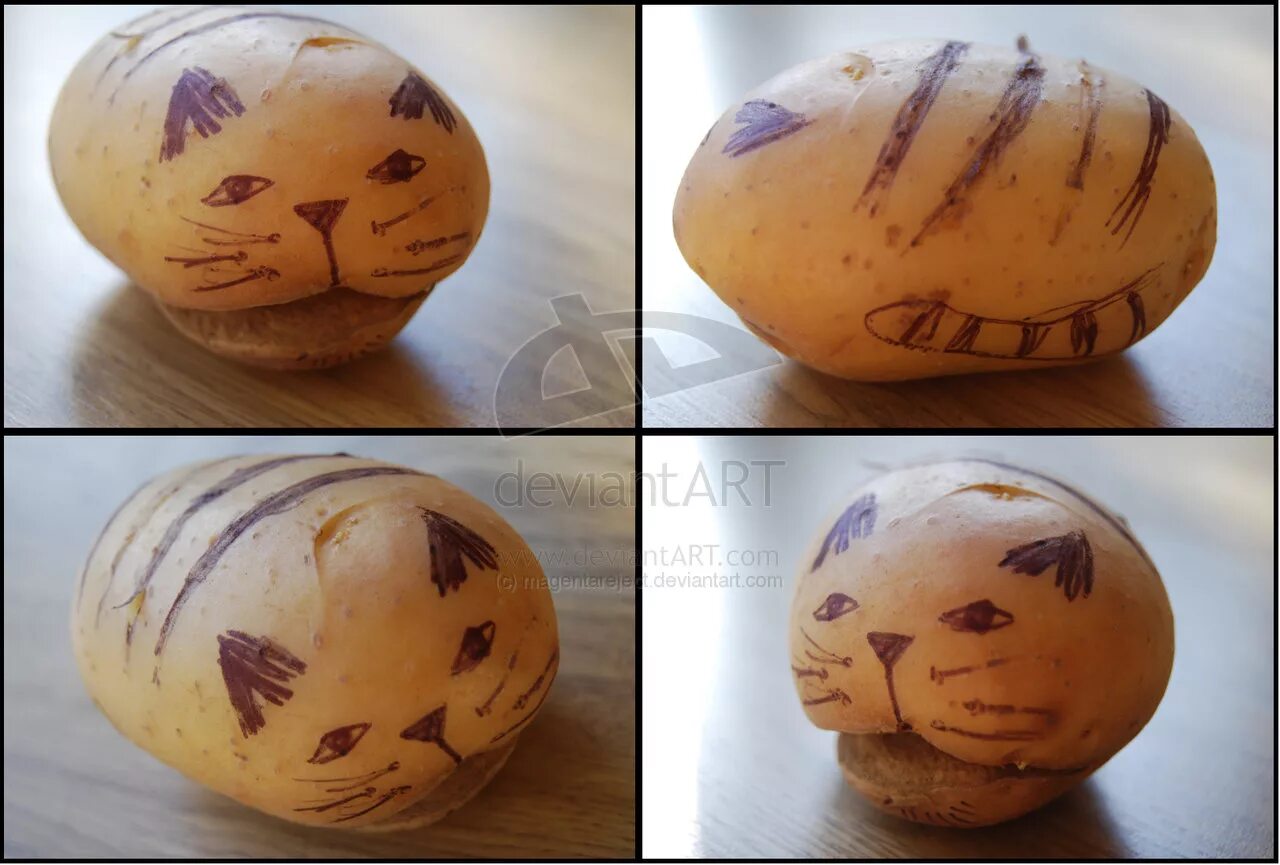 Включи том том картошка картошка картошка кошка. Кот картошка. кошка потато. картошка в форме котика. грация картошки.
