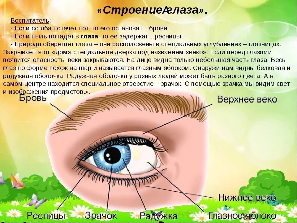 Не видно что попало в глаз. Как вытащить ресницу из глаза. соринка под верхним веком. как достать соринку из глаза.