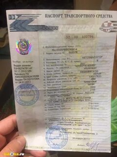 Как получить дубликат птс