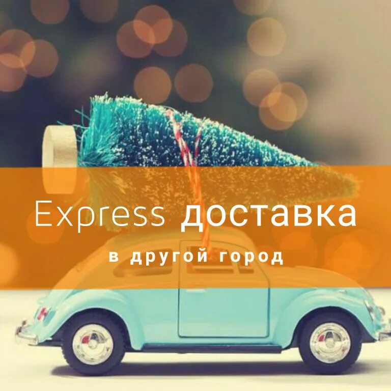 Курьерская доставка сочи. Экспресс доставка. Express доставка. Экспресс перевозка. Экспресс доставка грузов.