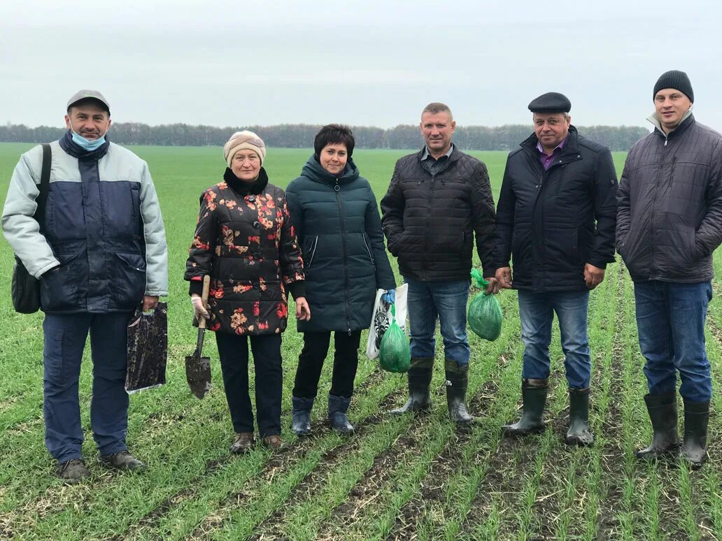 Гора ивана рыльского г. Аф рыльская. Рыльск курская область. Аф рыльская. Аф рыльская.