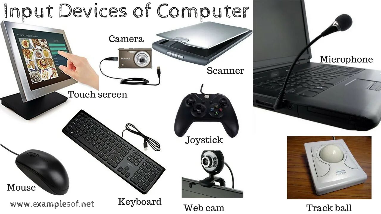 Устройства ввода информации. Input devices. Устройства ввода компьютера. Input devices of Computer. It is a really helpful device