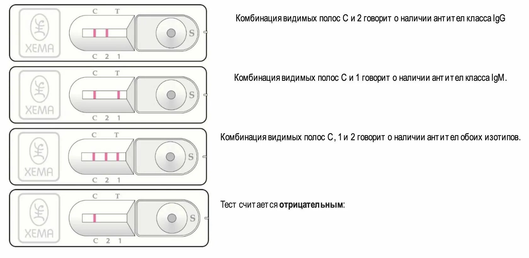 Sars cov 2 ответы на тест. Экспресс-тест на антиген SARS-cov-2 Covid-19 ПЦР инструкция. Тест SARS-cov-2 инструкция. Инструкция по экспресс тесту на ковид SARS-cov-2. Инструкция экспресс тест на антитела Covid 19.