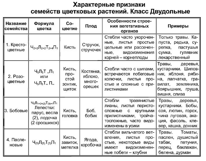 Характерные признаки семейств цветковых растений класс двудольные. Характеристика семейств покрытосеменных растений таблица. Характеристика признаков семейства однодольных растений. Характерные признаки семейств цветковых растений.