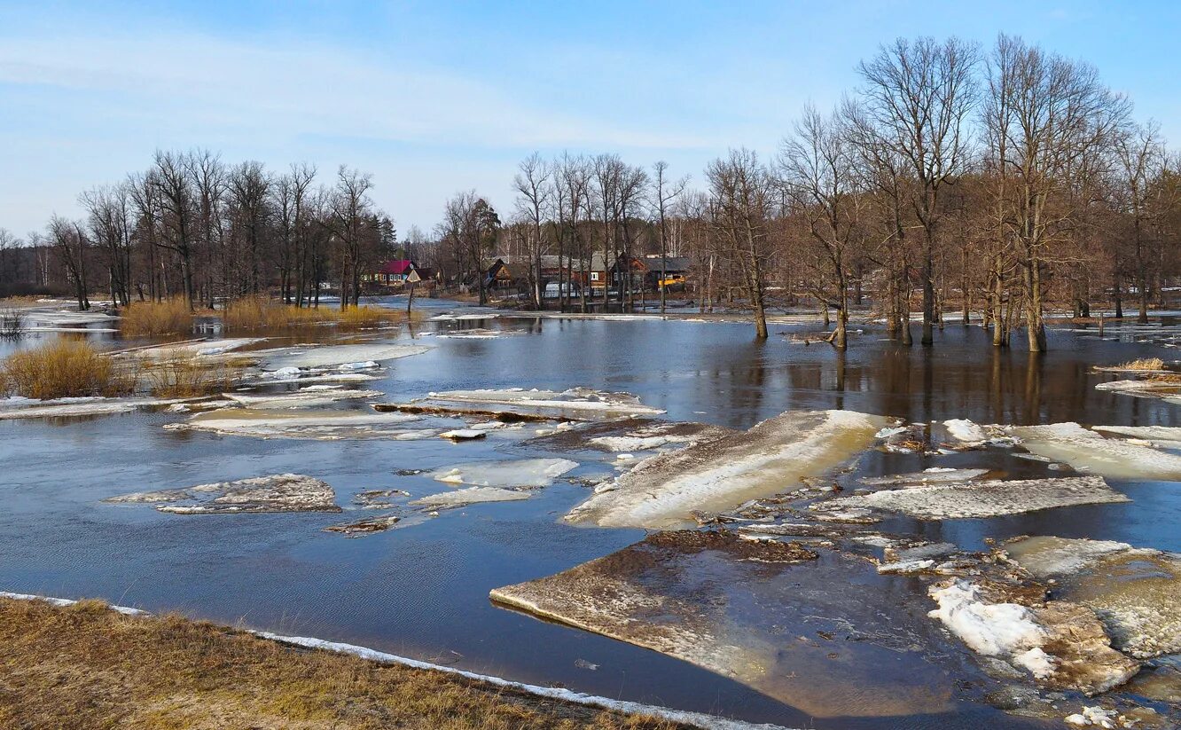 Река весной. Весенняя река. Везде лужи воды