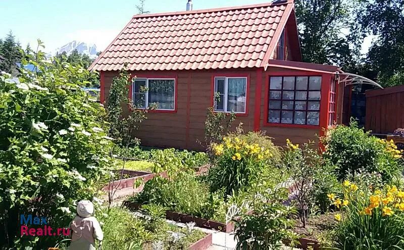 дача в краснодарском крае. дача невинномысск. садовое товарищество дружба ставрополь. дом у моря с фруктовым садом. снт невинномысск.