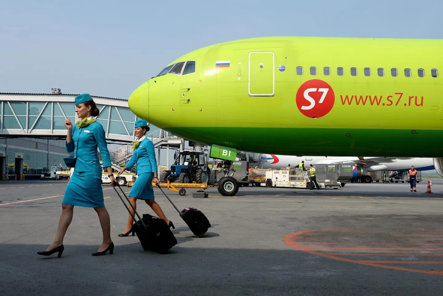 S7 airlines сибирь. Сибирь 7. Авиакомпания сибирь s7 airlines. Самолёт s7 airlines а310. S7 airlines авиакомпания.