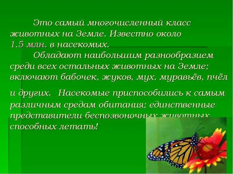 Самая многочисленная группа животных