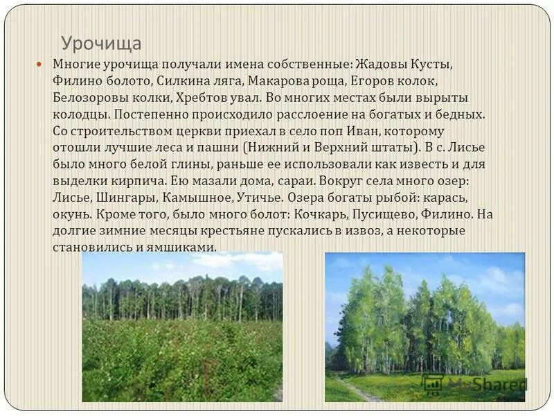 Название урочищ. Что такое урочище на карте. Что разрешается на территории памятника природы. Что значит урочище. Моховое болото саратовская область новобурасский район.