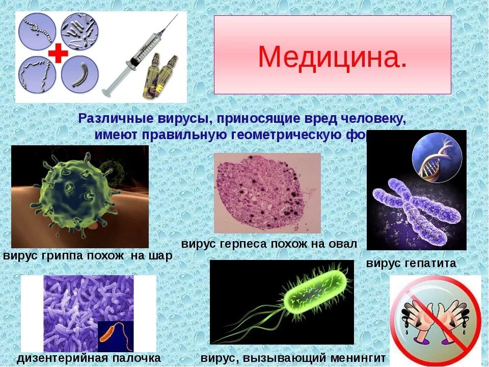 Тема бактерии и вирусы 5 класс. Вирусы названия. Название вирусов и бактерий. Вирусы и бактерии биология. Видовые названия вирусов.