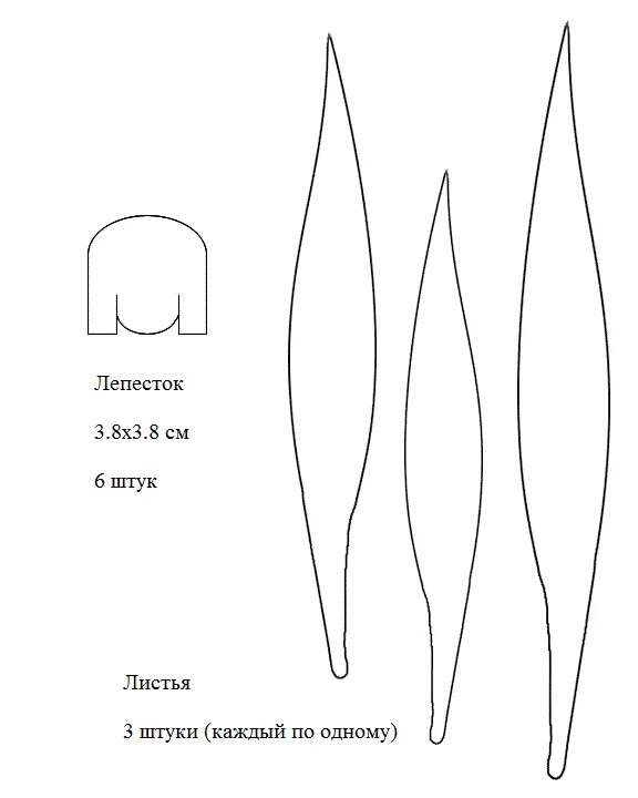 Лепесток тюльпана для вырезания. Лист тюльпана шаблон. Лист тюльпана трафарет. Трафарет лепестков. Трафарет листьев тюльпана.