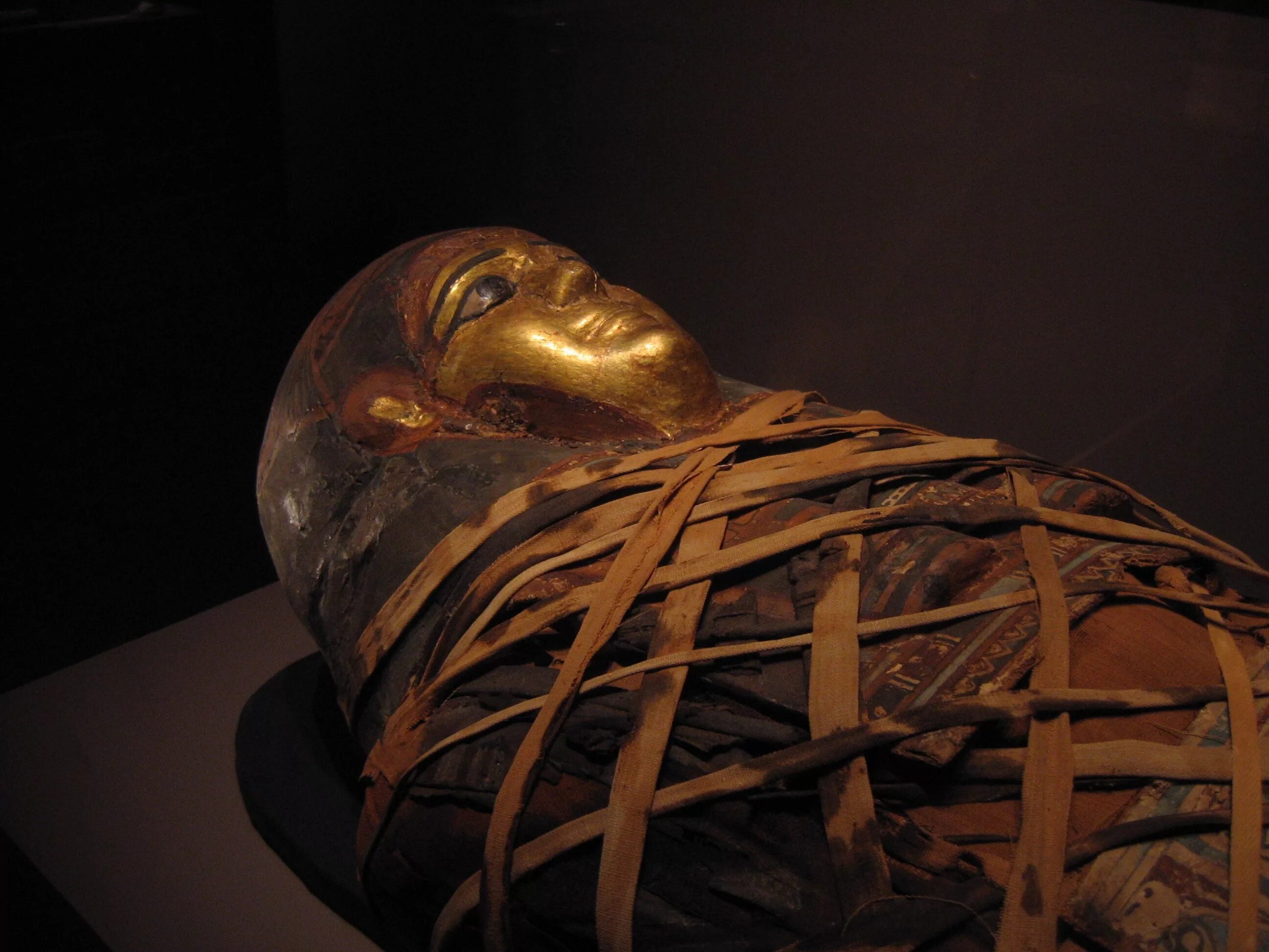 Мумии Египта фараонов РАМЗЕС. Рамсес II мумии древнего Египта. Very mummy