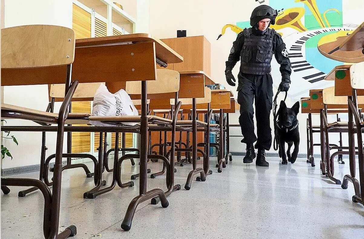 Террористы напали на школу. Терорисиы в шк. Террористическая тревога в школе. Террористическая тревога в школе. Антитеррористические учения в школе.
