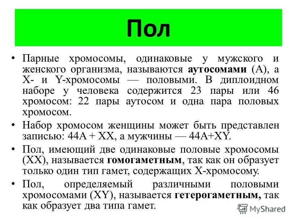 Парные хромосомы называются