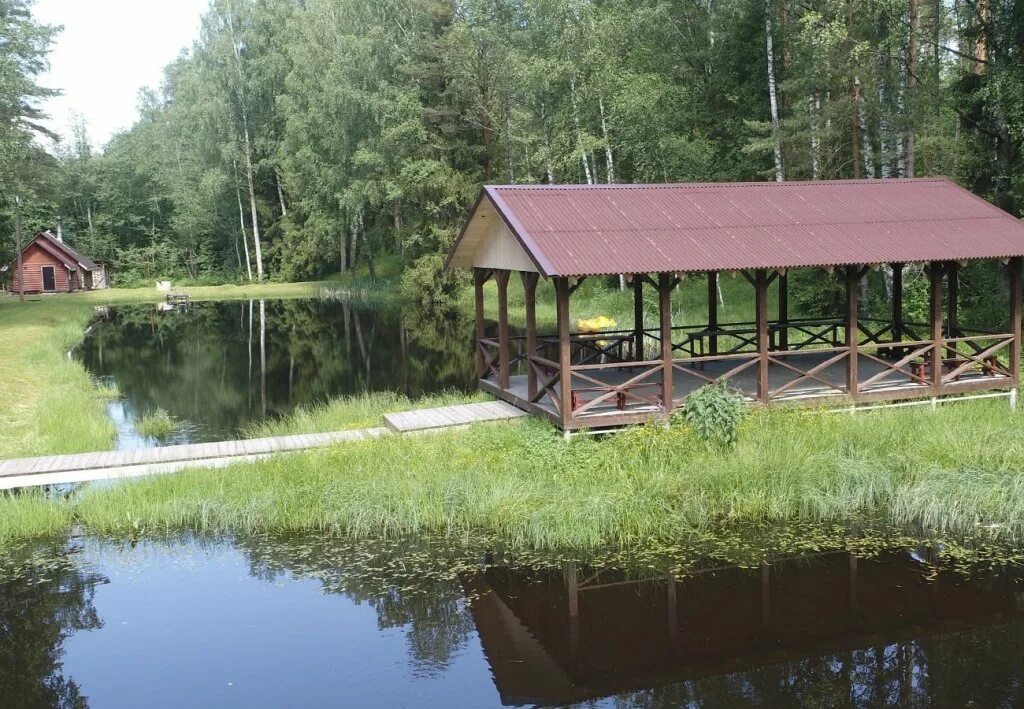 Сосновка новгородская область санаторий. Деревня сковородка новгородская область. Турбаза новгородская область фото с медведем. Дом отдыха великий новгород. Шалаш великий новгород.