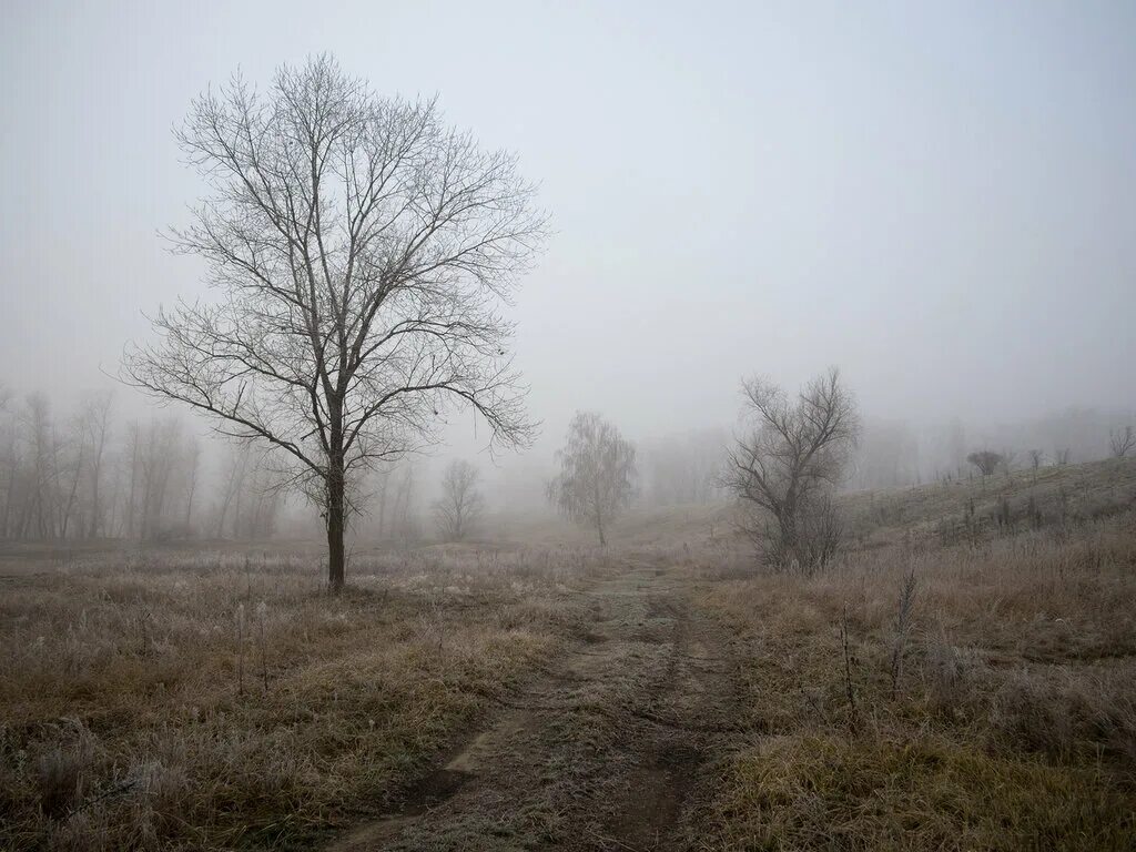 Серый день короче. Серое утро. Серое утро картинки. Серое/серое утро... Картинки. Серое утро в конце февраля.